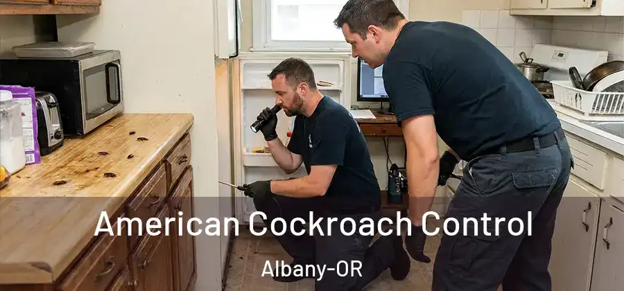  American Cockroach Control Albany-OR