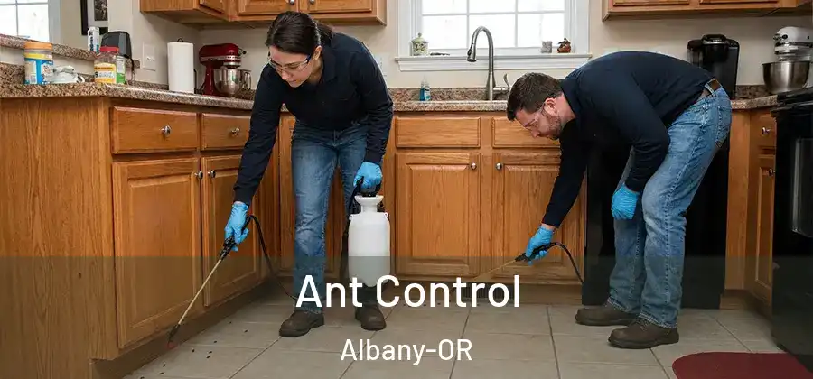 Ant Control Albany-OR