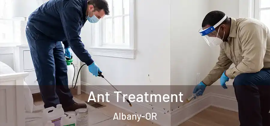 Ant Treatment Albany-OR
