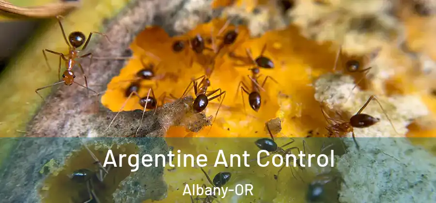  Argentine Ant Control Albany-OR