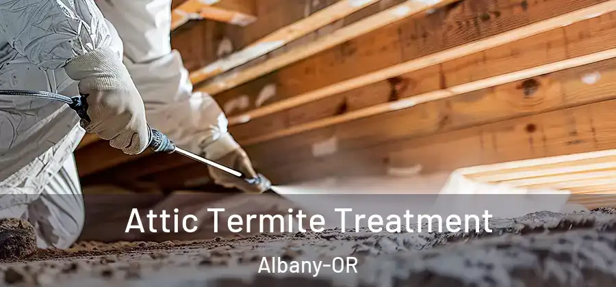  Attic Termite Treatment Albany-OR