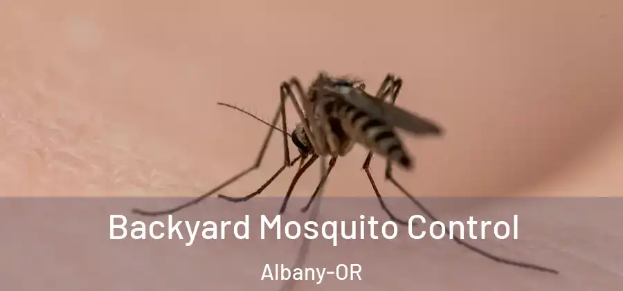  Backyard Mosquito Control Albany-OR