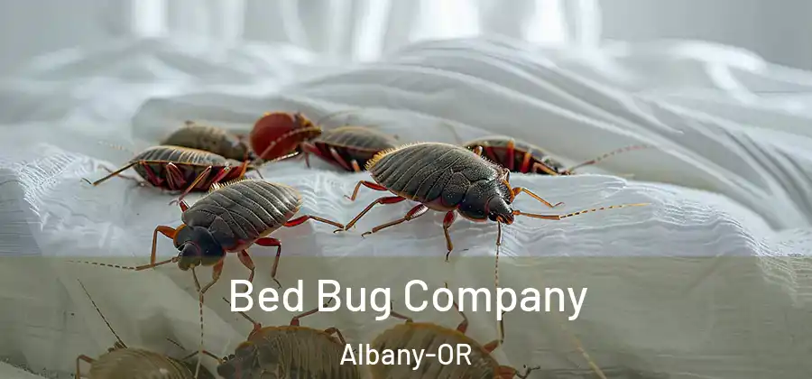  Bed Bug Company Albany-OR