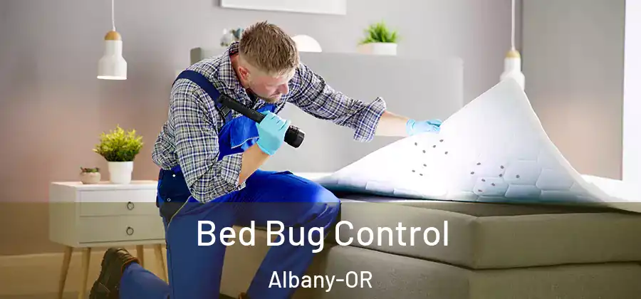  Bed Bug Control Albany-OR