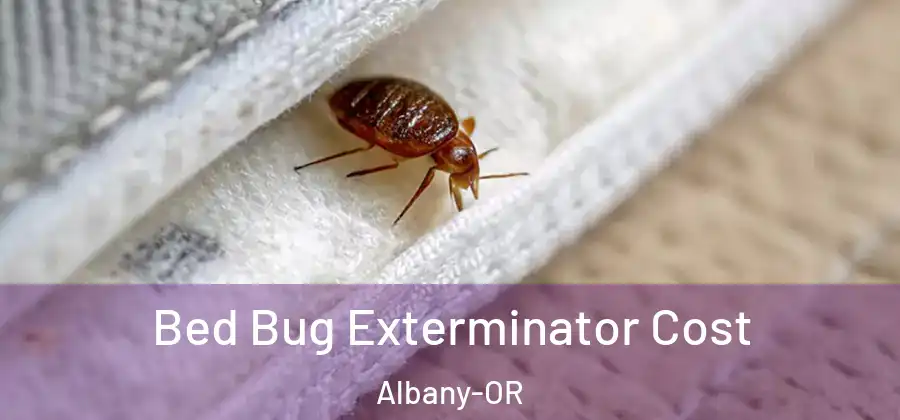  Bed Bug Exterminator Cost Albany-OR