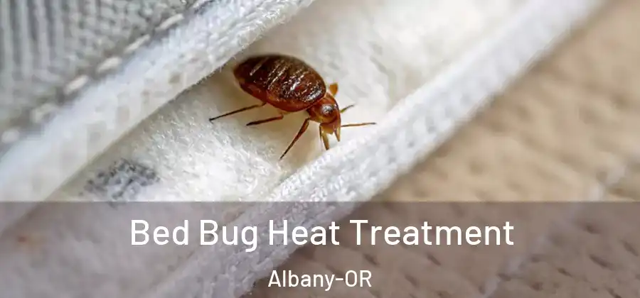 Bed Bug Heat Treatment Albany-OR