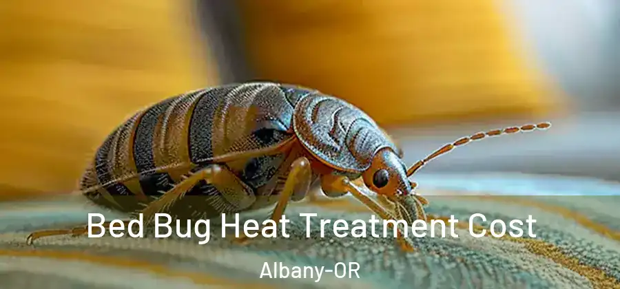 Bed Bug Heat Treatment Cost Albany-OR