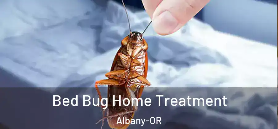  Bed Bug Home Treatment Albany-OR
