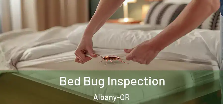  Bed Bug Inspection Albany-OR