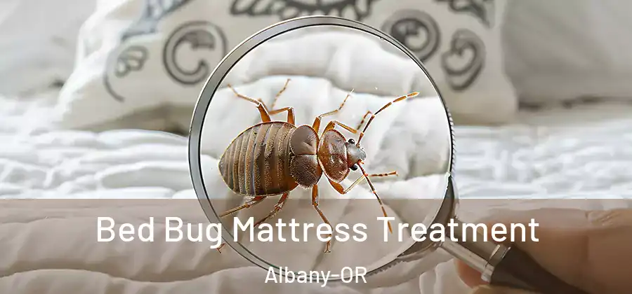  Bed Bug Mattress Treatment Albany-OR