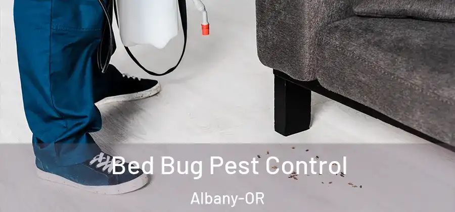 Bed Bug Pest Control Albany-OR