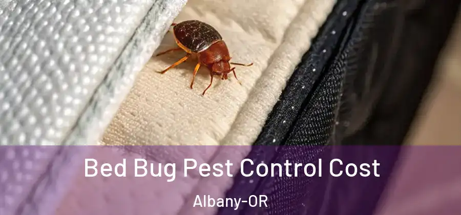  Bed Bug Pest Control Cost Albany-OR