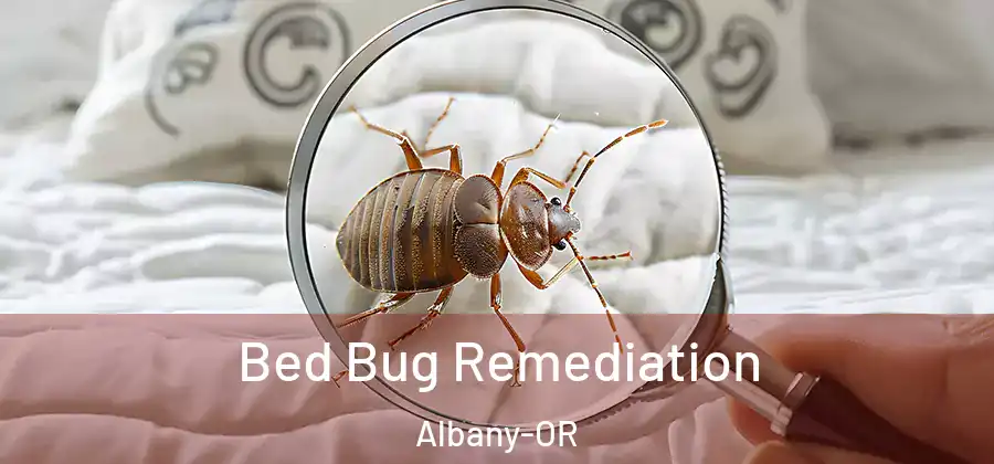  Bed Bug Remediation Albany-OR
