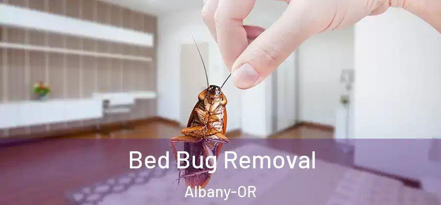 Bed Bug Removal Albany-OR