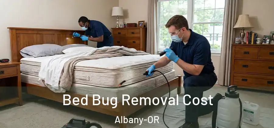 Bed Bug Removal Cost Albany-OR