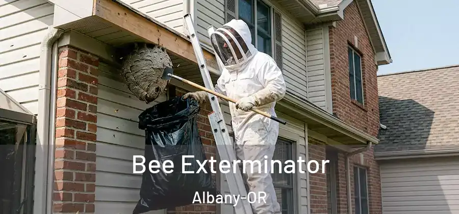 Bee Exterminator Albany-OR