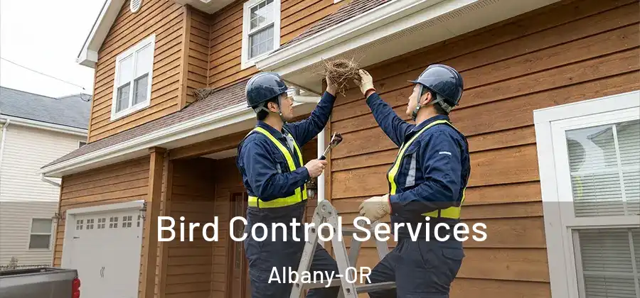 Bird Control Services Albany-OR