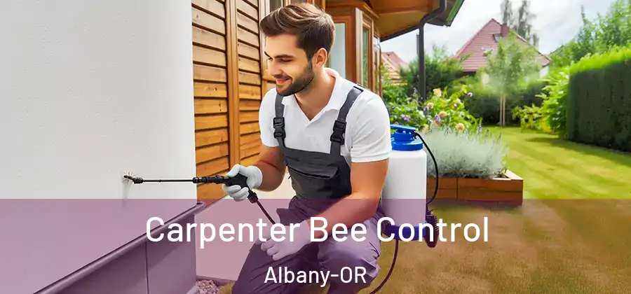 Carpenter Bee Control Albany-OR