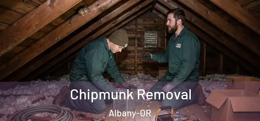  Chipmunk Removal Albany-OR