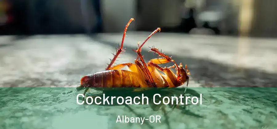 Cockroach Control Albany-OR