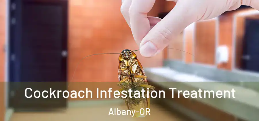  Cockroach Infestation Treatment Albany-OR