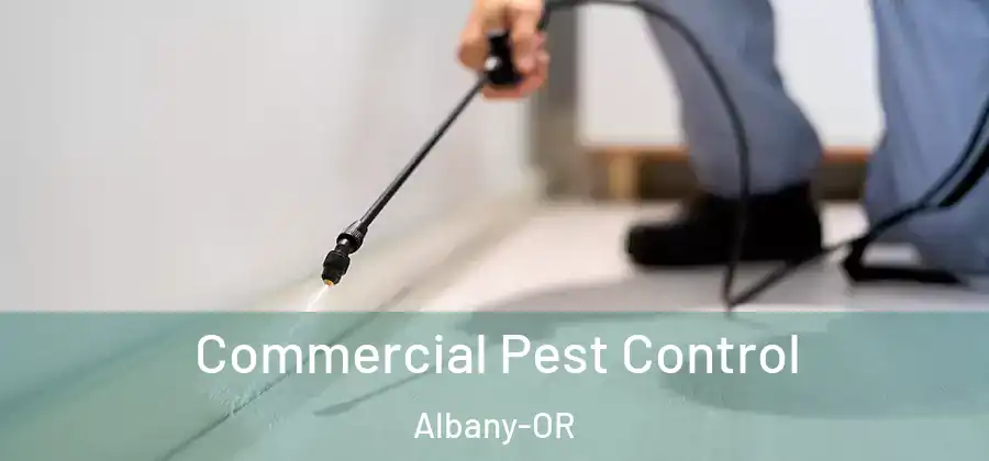 Commercial Pest Control Albany-OR
