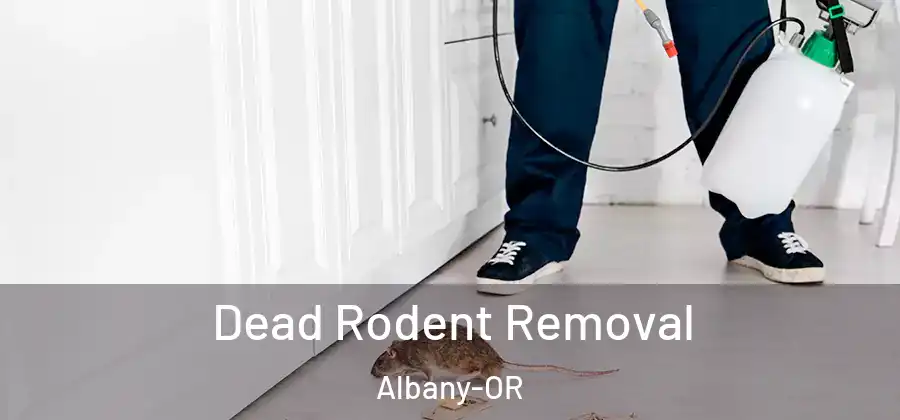  Dead Rodent Removal Albany-OR