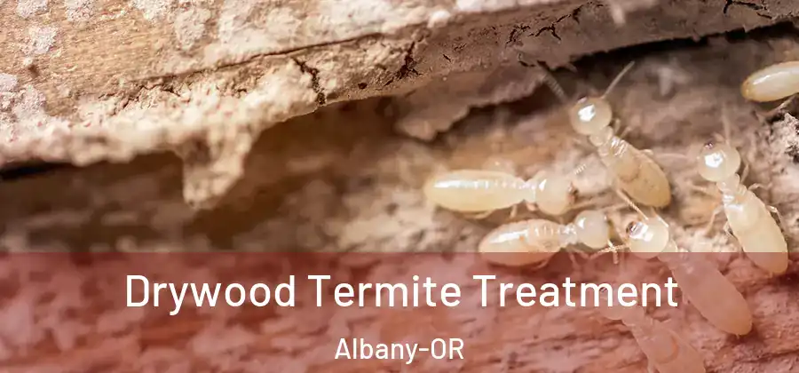 Drywood Termite Treatment Albany-OR