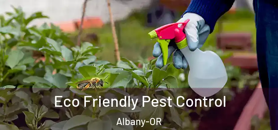  Eco Friendly Pest Control Albany-OR