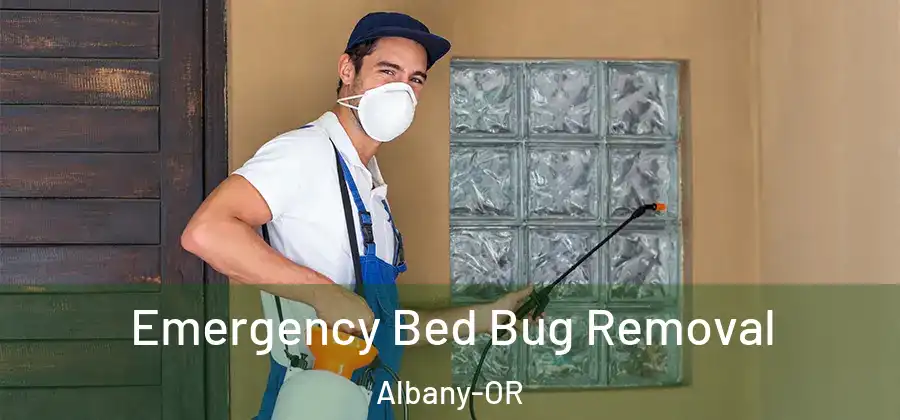 Emergency Bed Bug Removal Albany-OR