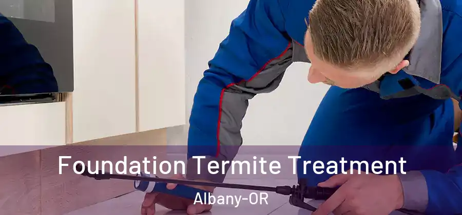 Foundation Termite Treatment Albany-OR
