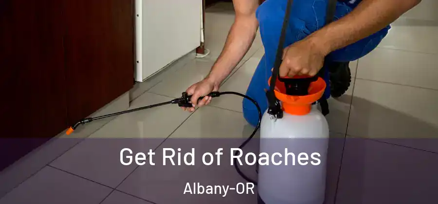 Get Rid of Roaches Albany-OR