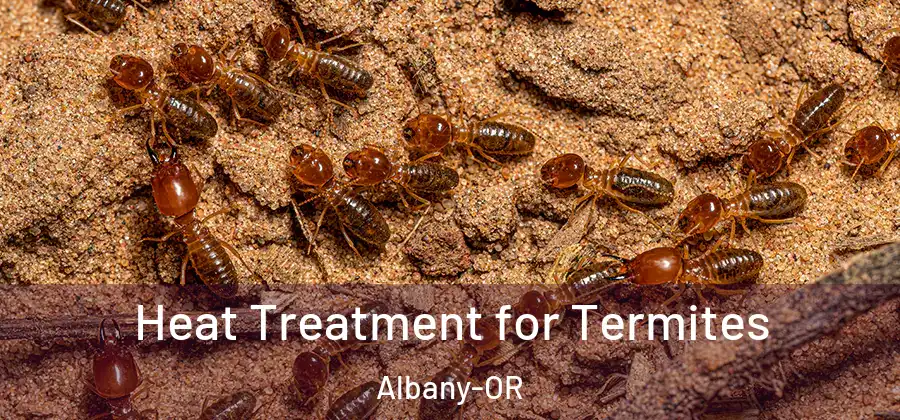 Heat Treatment for Termites Albany-OR