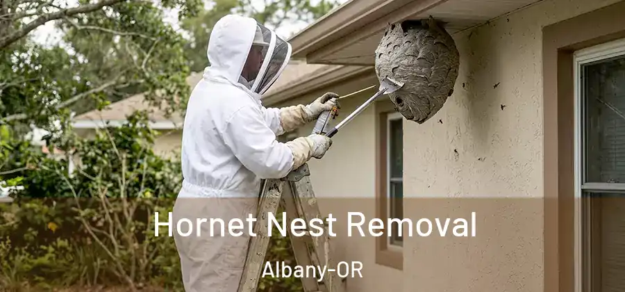 Hornet Nest Removal Albany-OR