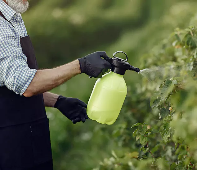 Your Proven Mosquito Treatment Company in Albany, OR