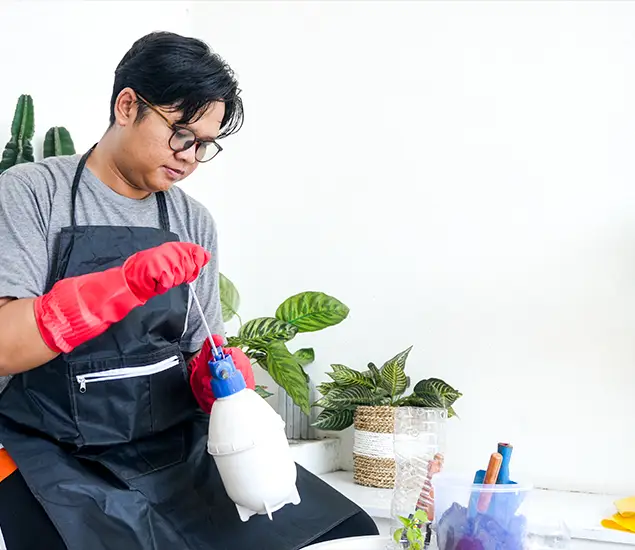 About Bed Bug Chemical Treatment Experts in Albany, OR