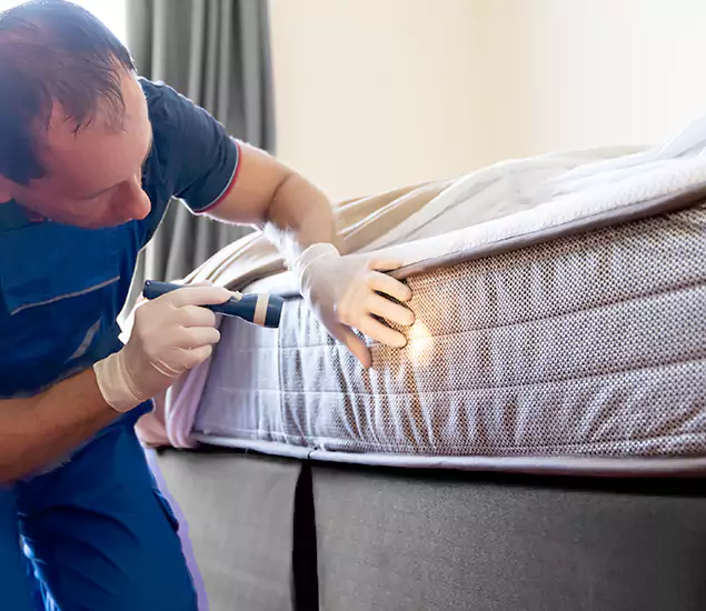 Trusted Bed Bug Cost Experts in Albany, OR