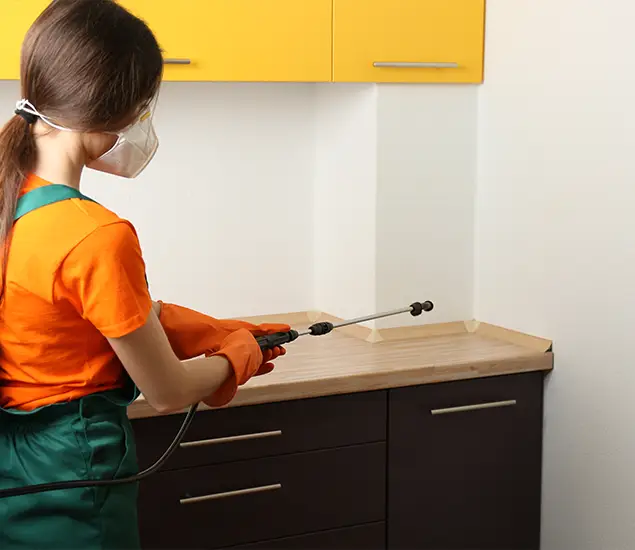 Trusted Bed Bug Pest Control Specialist in Albany, OR