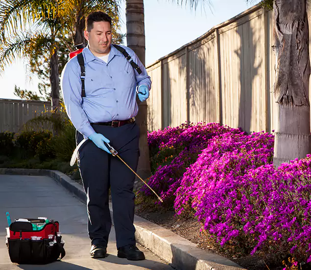 About Our Eco Safe Pest Control Experts in Albany, OR