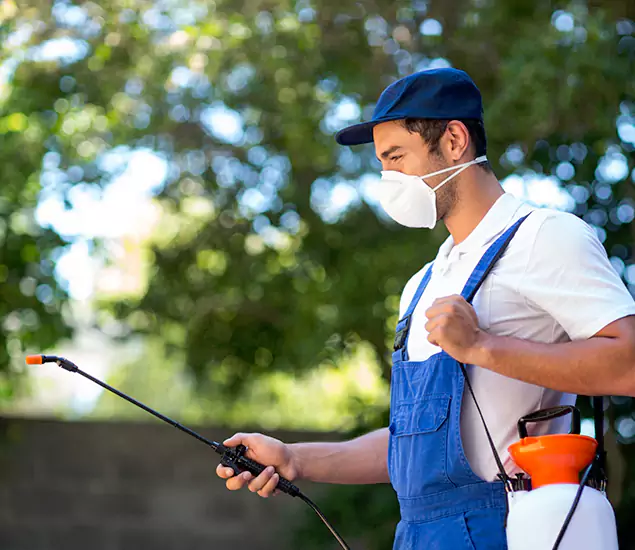 Your Trusted Flea and Tick Control in Albany, OR