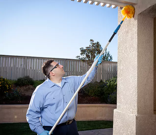 Trusted Experts in Albany OR for Formosan Termite Treatment and Black Termite Control