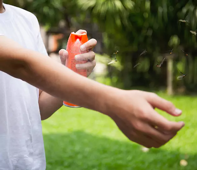 Your Best Indoor Bug Killer Team in Albany, OR