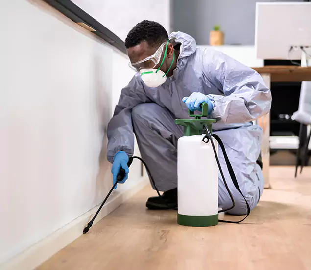 Leading Industrial Pest Control Experts Serving Albany, OR