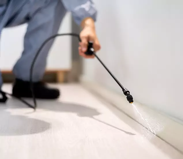 About Our Liquid Termite Treatment Experts in Albany, OR