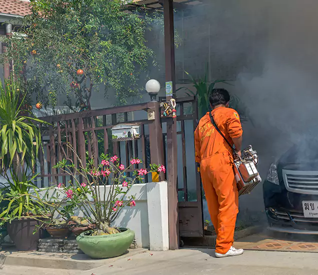 Your Proven Mosquito Fogging Company in Albany, OR