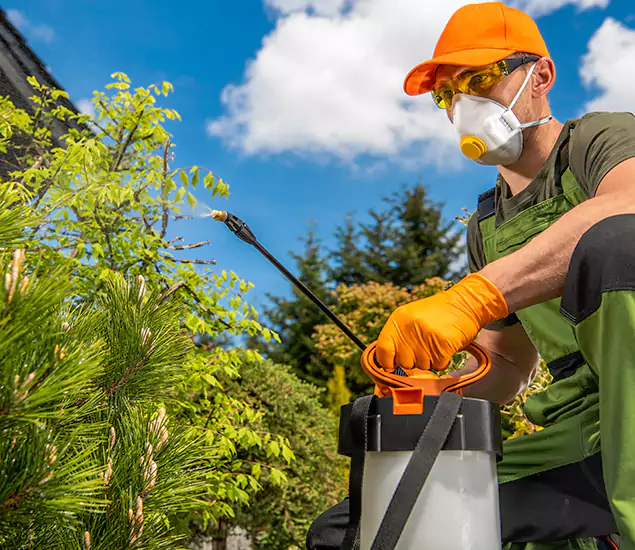 Your Best Bug Spray for Home Team in Albany, OR