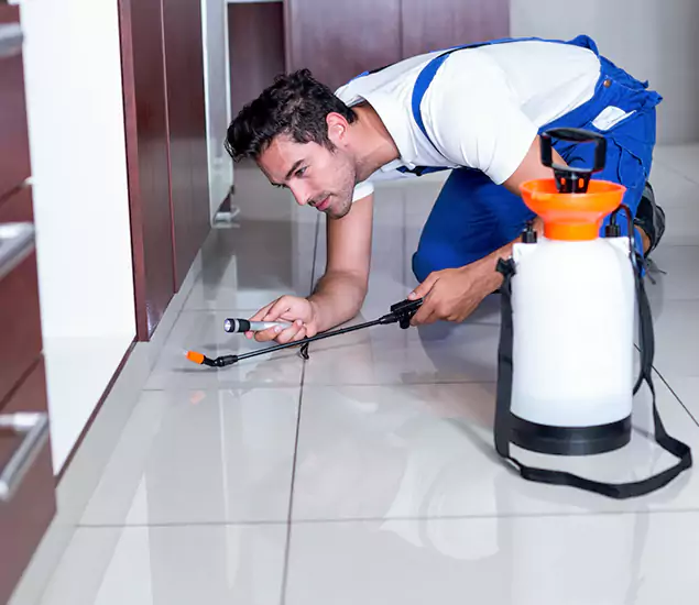 Reliable Professional Mouse Removal: Your Best Mouse Control Company in Albany, OR