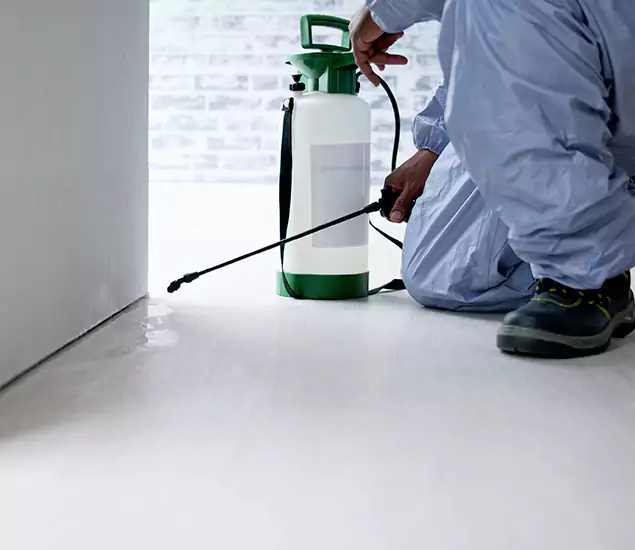 Affordable Pest Control Experts in Albany, OR