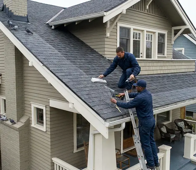 Your Pigeon Control Experts in Albany, OR