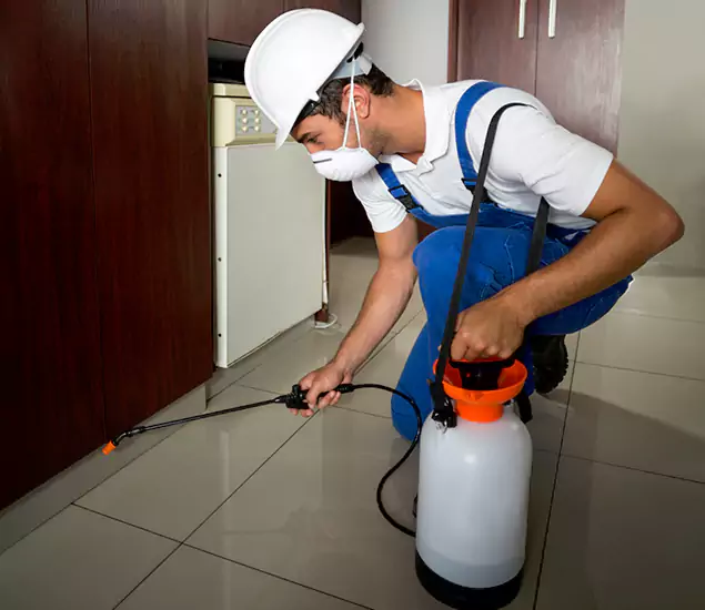 Advanced Termite Pre Treatment Experts in Albany, OR